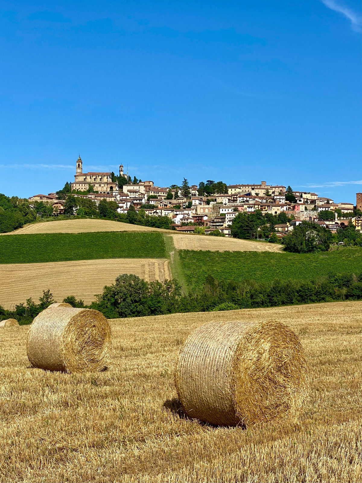 Vignale Monferrato (AL)